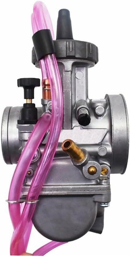 earnest hearts volt 風林火山 特大鉢 検】 パキプス Earnest Hearts